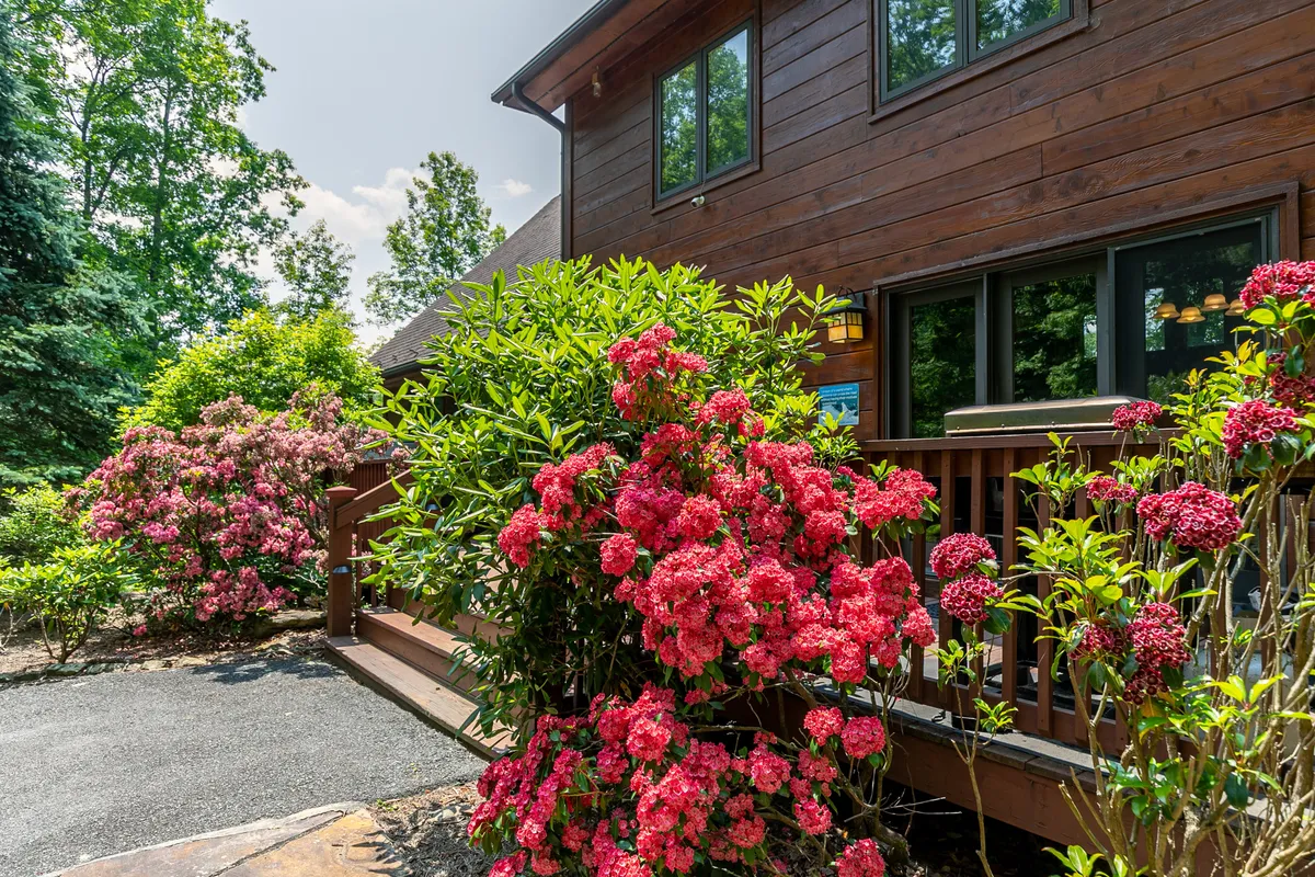 A wooden deck accented by blooming pink flowers and lush greenery sits beside large windows, suggesting easy access from the interior to the outdoors. The space is bright and inviting, ideal for morning coffee or relaxing with pets.
